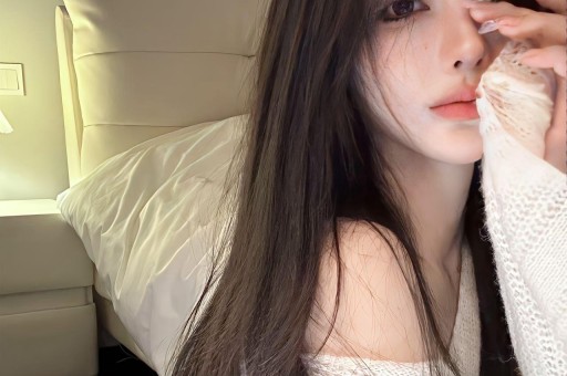 4个理由告诉你为什么要选领导_煌瑟软件免费下载-为创作者提供无限灵感的新工具